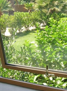imagen_3.jpg
